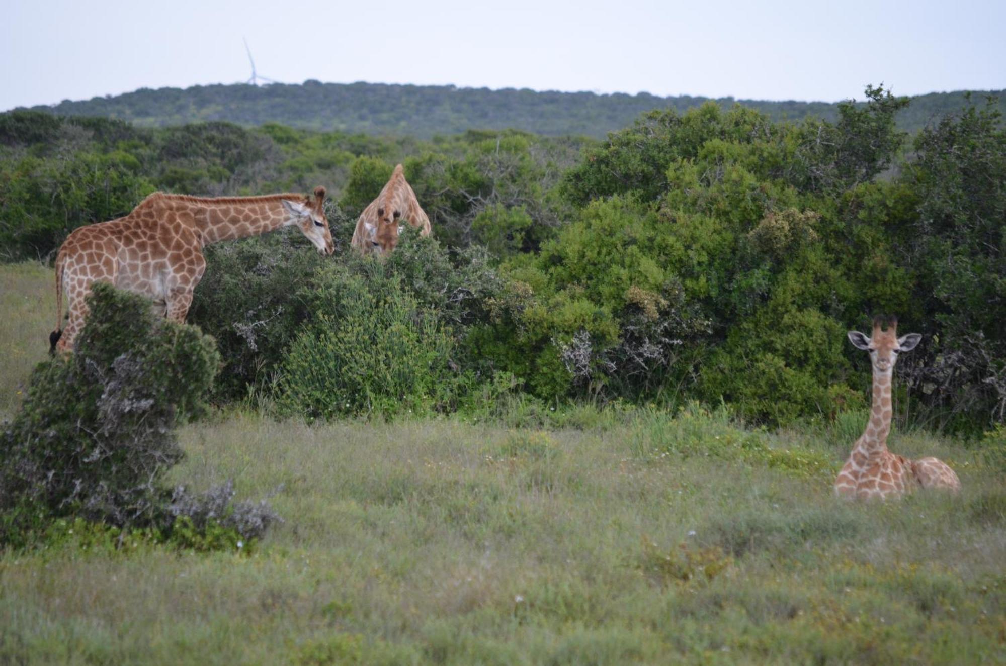 Готель Beyond Cui Bono Sunland Екстер'єр фото